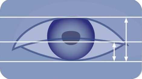 Core Technology: Pupil Identiﬁcation Technology