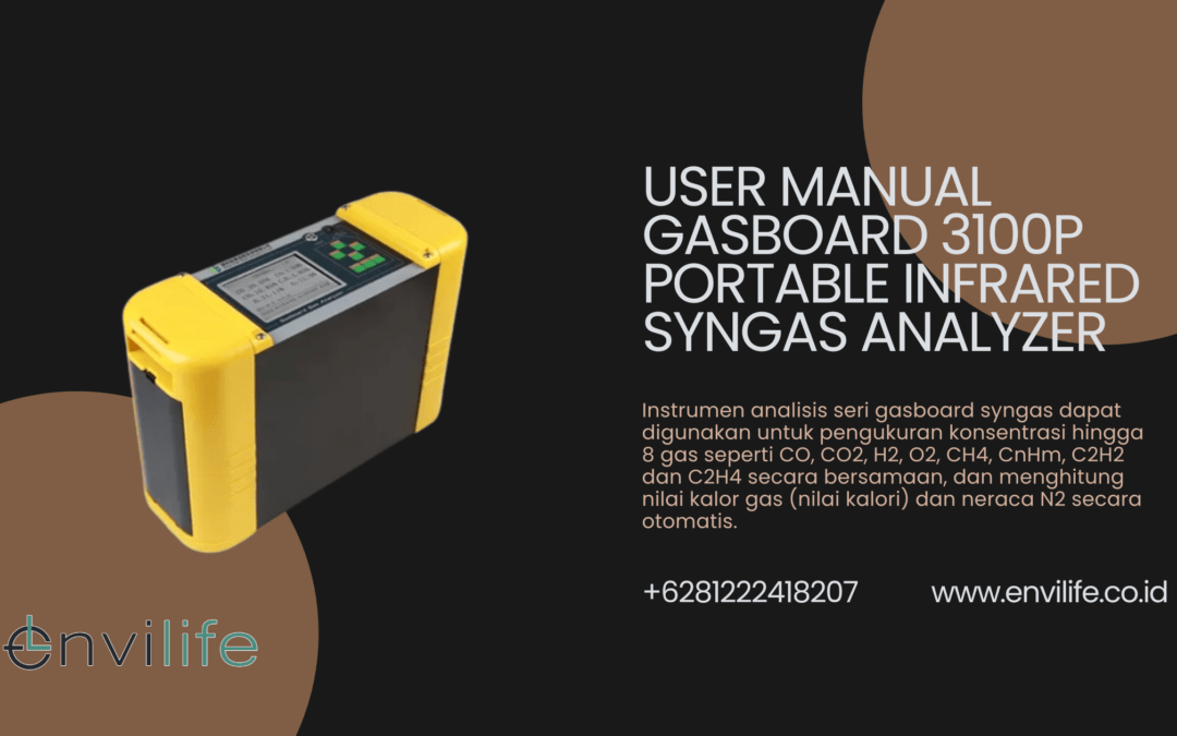 User Manual Gasboard 3100P Portable Infrared Syngas Analyzer