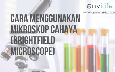 Cara Menggunakan Mikroskop Cahaya (Brightfield Microscope)