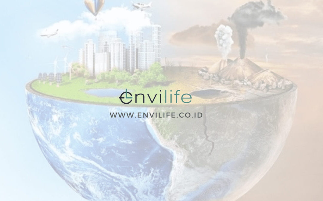 Dari Mana Datangnya Minyak Bumi?