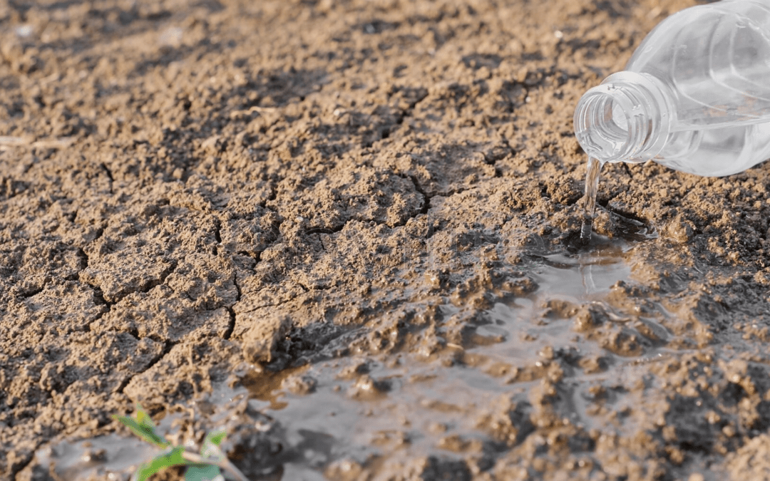 3 Cara Menanggulangi Pencemaran Tanah