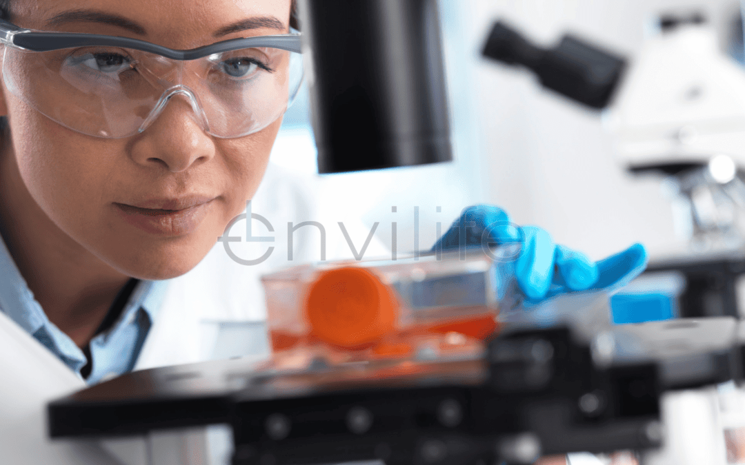 Apa yang dimaksud dengan Kultur Sel?