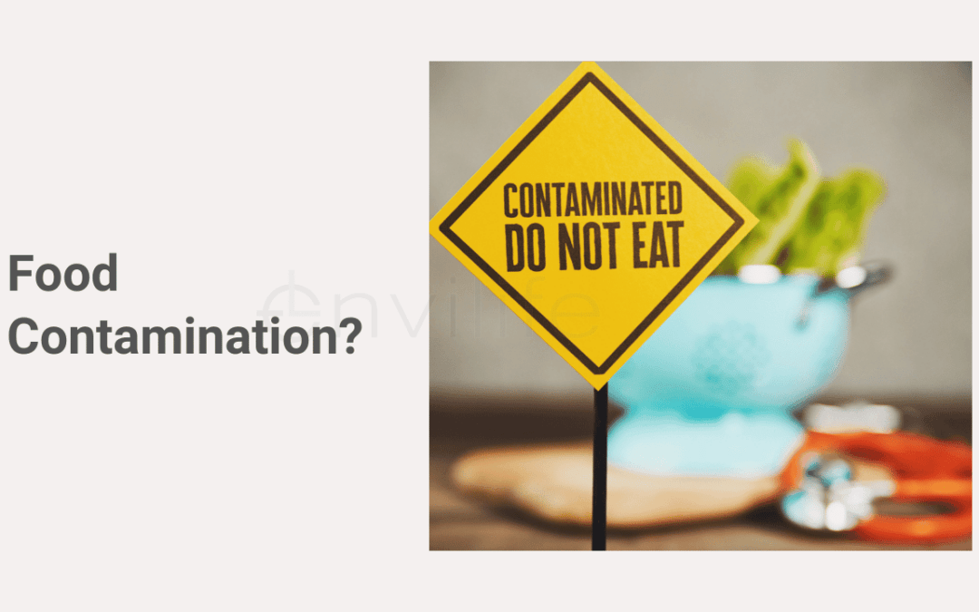 Apa yang Dimaksud dengan Food Contamination?