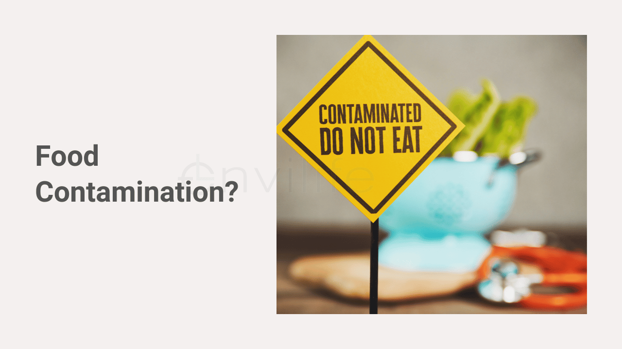 Apa yang Dimaksud dengan Food Contamination?